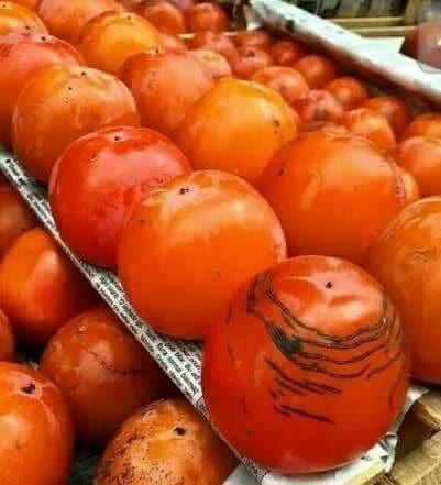 Azərbaycan 114 milyonluq xurma ixrac etdi